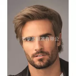 Perruque Courte Homme Synthétique Gris Argenté Lisse - Bonnet Monofilament, Résistante à La Chaleur, Neuve