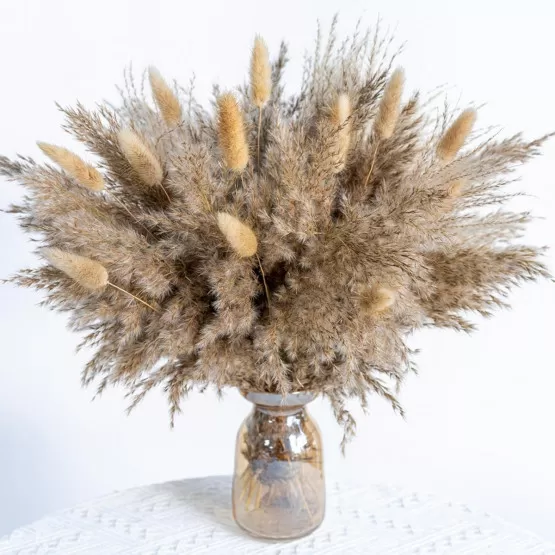 INF Bouquet de Fleurs Séchées 50PCS - Herbe de Pampa, Queue de Lapin et