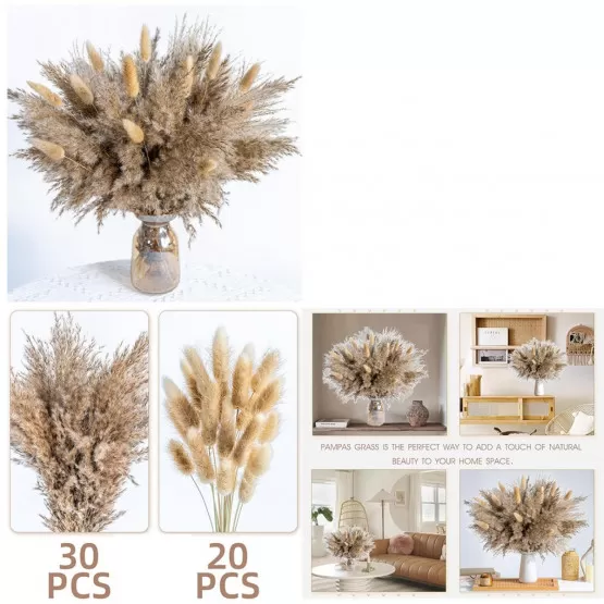 INF Bouquet de Fleurs Séchées 50PCS - Herbe de Pampa, Queue de Lapin et